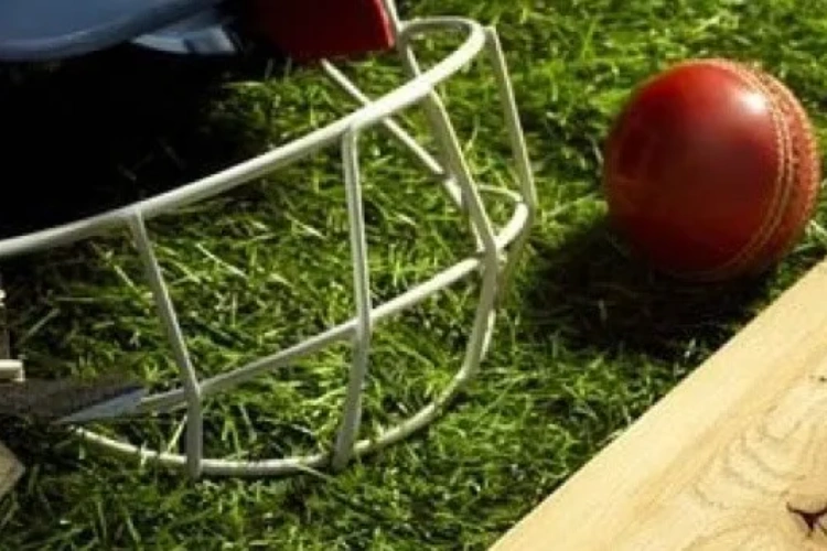 1xBet Vitality County. Women 2026